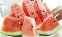 荷兰网红吃瓜视频大全免费观看,免费观看，笑料横生！