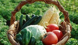 烟店吃瓜视频大全集免费,免费观看视频大全集精彩瞬间回顾