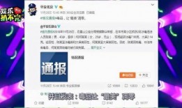 爆料网民被抓视频播放,网民爆料视频主角被捕幕后真相